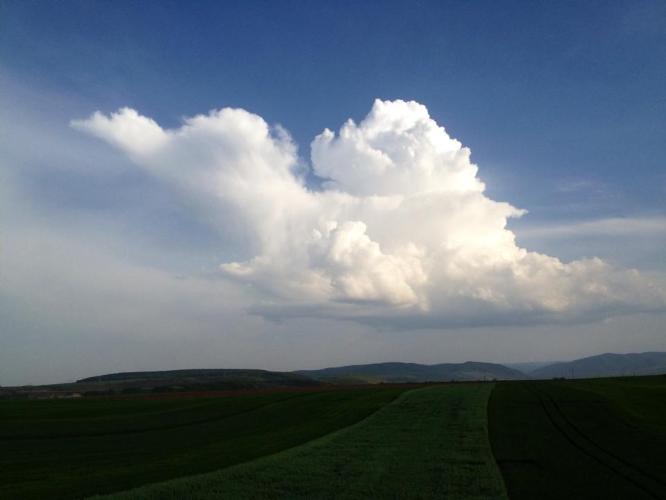 Perfect View - Pic: view